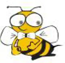 https://cdn.forie.comIM BEE BUSINESS CO
