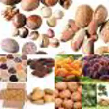https://cdn.forie.comGOCER KAYISI GIDA TARIM