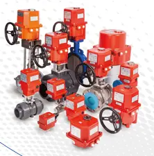 https://cdn.forie.comPRO UNI-D CO LTD