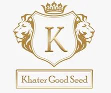 https://cdn.forie.comKHATER GOOD SEED