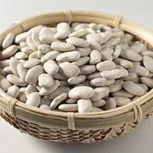 https://cdn.forie.com/storage/resize/images/products/07e0ec61-a797-49b0-a9dc-cc25ebfe0d36.jpg