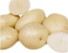 Edible Potato CASABLANCA