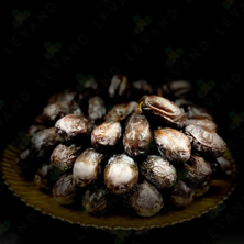 https://cdn.forie.com/storage/resize/images/products/10d437a1-7d22-4375-8c1d-0caf5edaa596.png