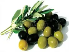 productos de oliva y oliva