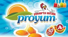 Yumurta L Proyum