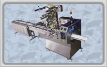 Krom Beş Servolu Motion Kontrollü Paralel(0°) Otomatik Beslemeli Paketleme Makinesi
