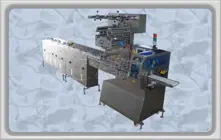 Chrome Eight Servo Motion Control Parallel (0 °) Automatic Feed Packaging Machine