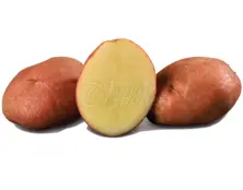 Edible Potato DESIREE