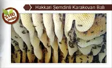 Karakovan Balı Hakkari Şemdinli