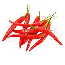 Red Chile Pepper