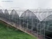 Modern Greenhouses Gothic