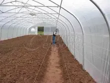 Classical Greenhouses Tunnel