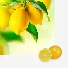 Lemon Mayer