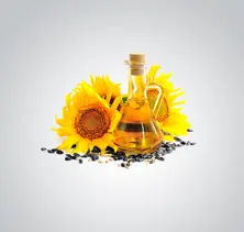 https://cdn.forie.com/storage/resize/images/products/286b6312-6137-44fa-ba08-f28c6c8cf0ba.jpg