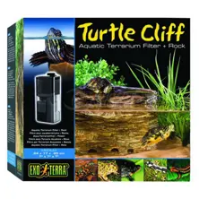 Filtered Turtle Rock