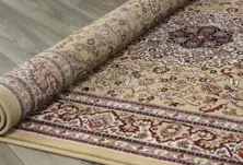 Carpet  -Excellent