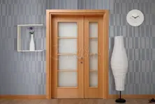 Customized Door Series - DLS009