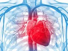 Cardiology – Cardiovascular