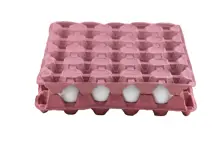 Bandejas de huevos