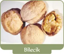Грецкий орех Биледжик