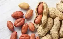 Sudanese  Peanuts