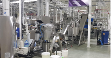 Fruit Processing Lines