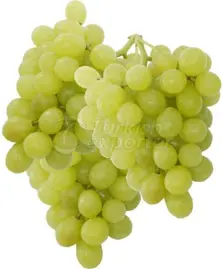 Superior Seedless Grape