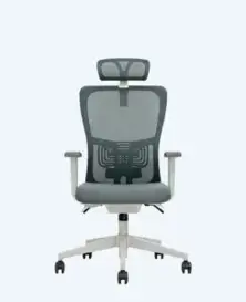 Ofis Sandalyesi - Lumbar Plus 