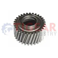 Differential Gear 100.03.1009