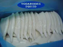 squid tubes