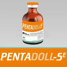 Aşı-Pentadoll-5E