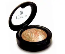 Cecile Ultra Shine Terracotta Eyeshadow