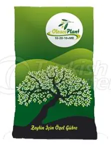 Oleace Plant Olive Guides