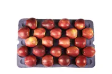 Apple trays varieties