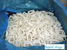 Squid ring