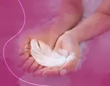 https://cdn.forie.com/storage/resize/images/products/5e479328-8c57-4171-a91e-a75ade262ef8.jpg