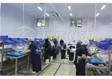 Seafood Processing and Packaging Facilities
