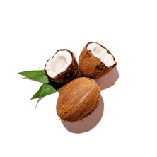 Semi Husked Coconut