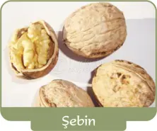Грецкий орех Щебин