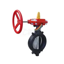 Indicated Butterfly Valve (Wafer Type)