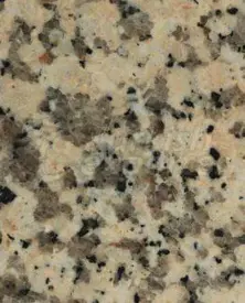 Granite - Crema Perla