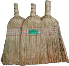 Balkan Broom