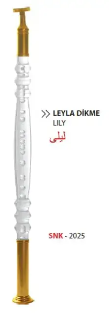 Pleksi Dikme / SNK-2025 / Leyla