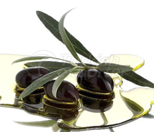Tamaño medio oliva Gemlik