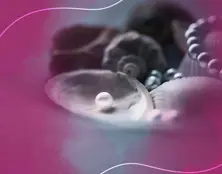 https://cdn.forie.com/storage/resize/images/products/79c15889-37ad-48ad-bebe-f099b1860222.jpg