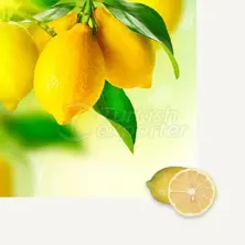 Lemon Interdonato