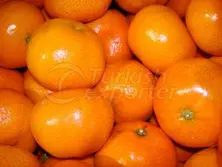 Mandarin Fremont