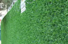 Clôtures d'herbe décoratives