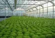 Greenhouse - Farming Applications