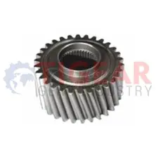 Differential Gear 100.03.1008